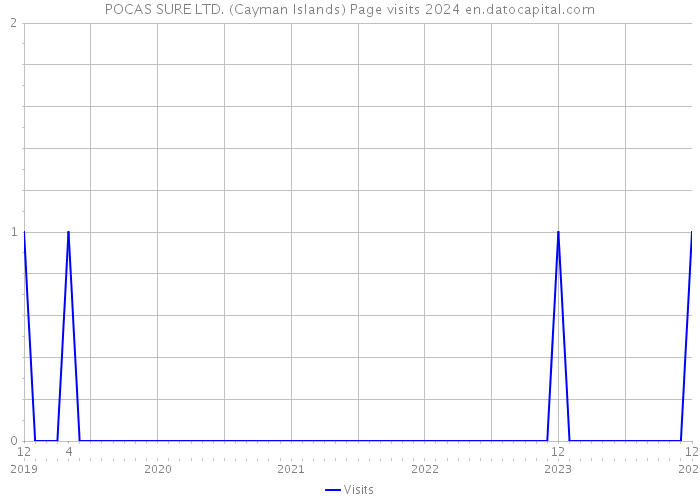 POCAS SURE LTD. (Cayman Islands) Page visits 2024 