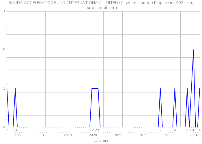SALIDA ACCELERATOR FUND (INTERNATIONAL) LIMITED (Cayman Islands) Page visits 2024 