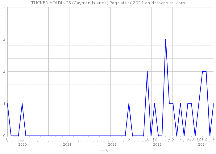 TUCKER HOLDINGS (Cayman Islands) Page visits 2024 