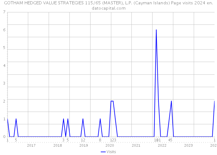 GOTHAM HEDGED VALUE STRATEGIES 115/65 (MASTER), L.P. (Cayman Islands) Page visits 2024 