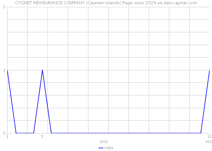CYGNET REINSURANCE COMPANY (Cayman Islands) Page visits 2024 