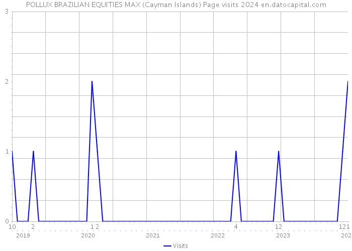 POLLUX BRAZILIAN EQUITIES MAX (Cayman Islands) Page visits 2024 