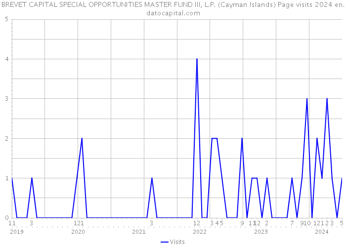 BREVET CAPITAL SPECIAL OPPORTUNITIES MASTER FUND III, L.P. (Cayman Islands) Page visits 2024 