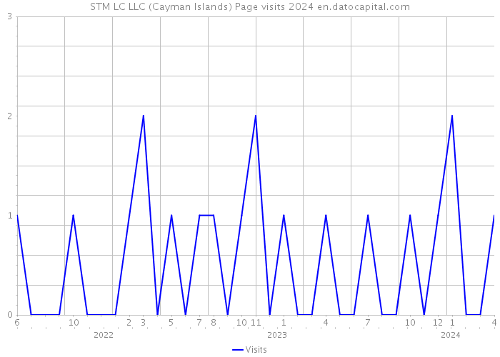 STM LC LLC (Cayman Islands) Page visits 2024 