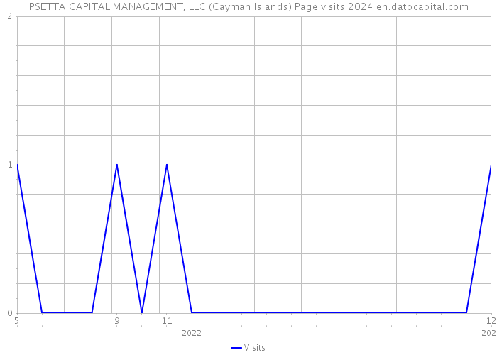 PSETTA CAPITAL MANAGEMENT, LLC (Cayman Islands) Page visits 2024 