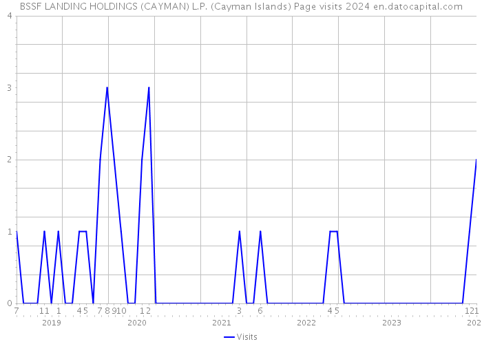 BSSF LANDING HOLDINGS (CAYMAN) L.P. (Cayman Islands) Page visits 2024 