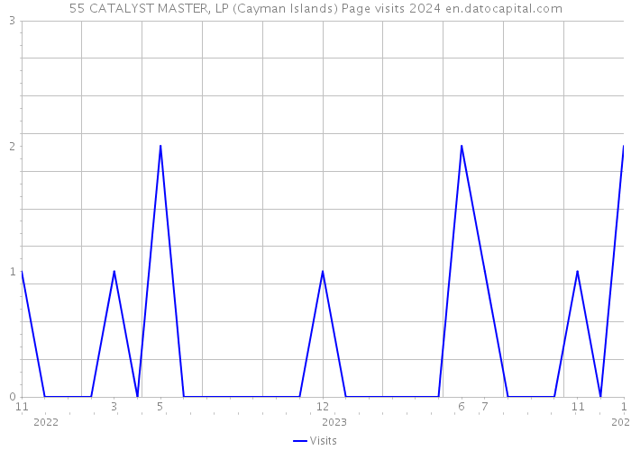 55 CATALYST MASTER, LP (Cayman Islands) Page visits 2024 