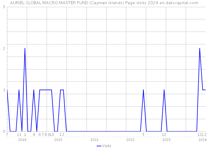 AURIEL GLOBAL MACRO MASTER FUND (Cayman Islands) Page visits 2024 