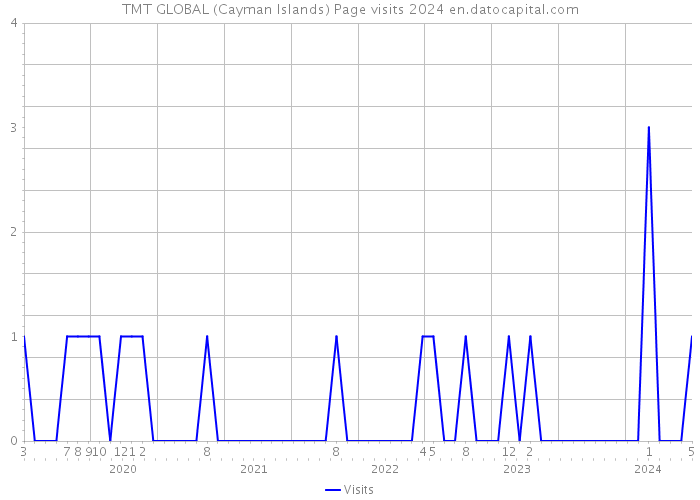 TMT GLOBAL (Cayman Islands) Page visits 2024 