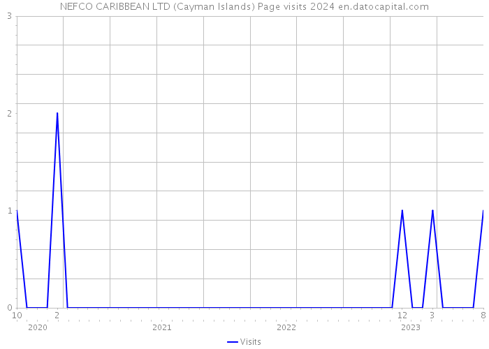 NEFCO CARIBBEAN LTD (Cayman Islands) Page visits 2024 