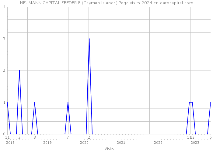 NEUMANN CAPITAL FEEDER B (Cayman Islands) Page visits 2024 