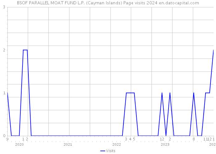 BSOF PARALLEL MOAT FUND L.P. (Cayman Islands) Page visits 2024 