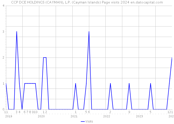 CCP DCE HOLDINGS (CAYMAN), L.P. (Cayman Islands) Page visits 2024 