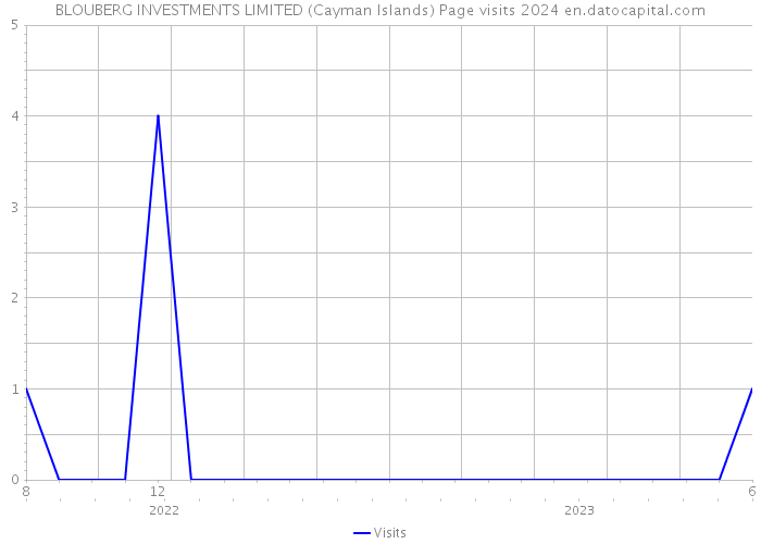 BLOUBERG INVESTMENTS LIMITED (Cayman Islands) Page visits 2024 