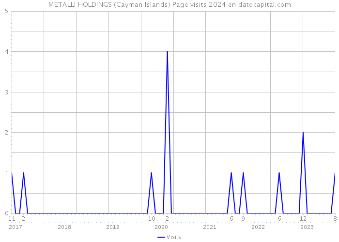 METALLI HOLDINGS (Cayman Islands) Page visits 2024 
