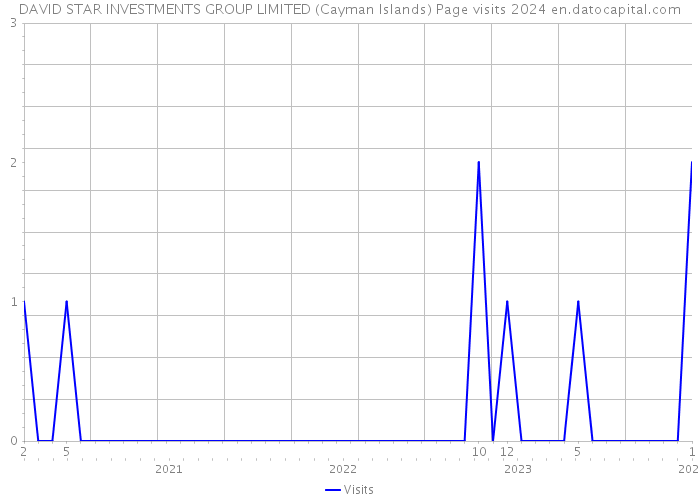 DAVID STAR INVESTMENTS GROUP LIMITED (Cayman Islands) Page visits 2024 