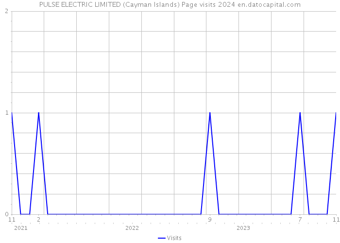PULSE ELECTRIC LIMITED (Cayman Islands) Page visits 2024 