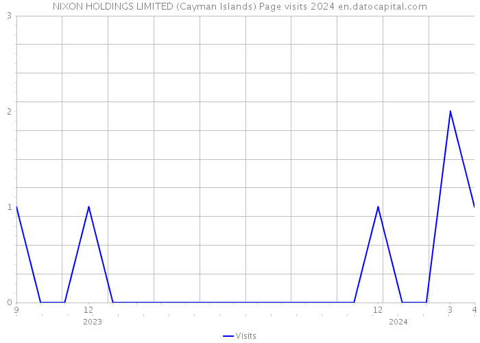 NIXON HOLDINGS LIMITED (Cayman Islands) Page visits 2024 