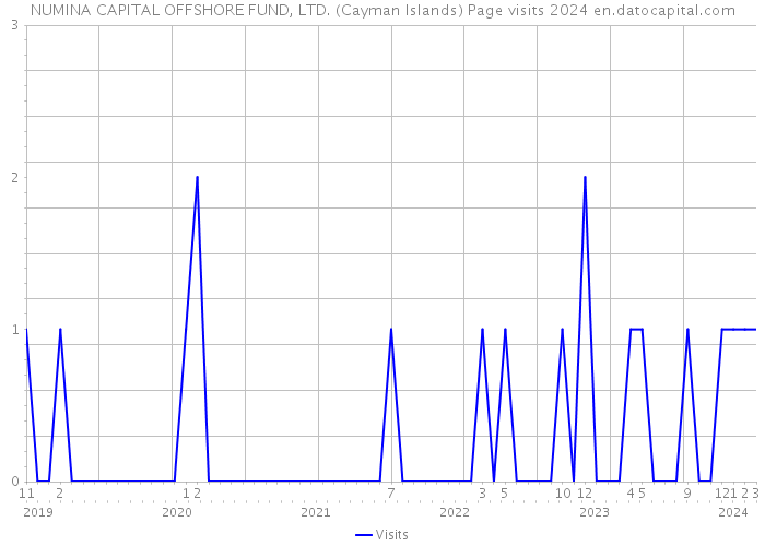 NUMINA CAPITAL OFFSHORE FUND, LTD. (Cayman Islands) Page visits 2024 