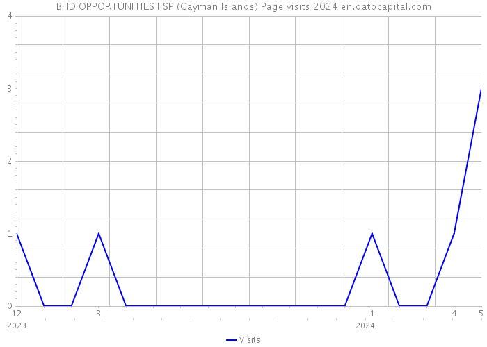 BHD OPPORTUNITIES I SP (Cayman Islands) Page visits 2024 