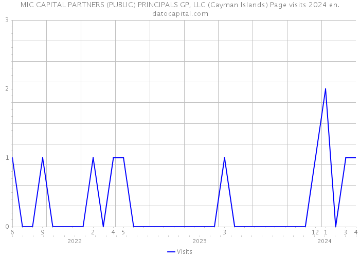 MIC CAPITAL PARTNERS (PUBLIC) PRINCIPALS GP, LLC (Cayman Islands) Page visits 2024 