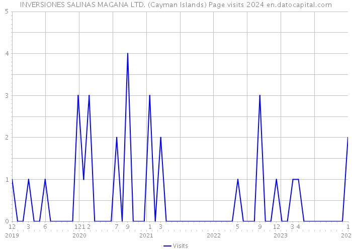 INVERSIONES SALINAS MAGANA LTD. (Cayman Islands) Page visits 2024 