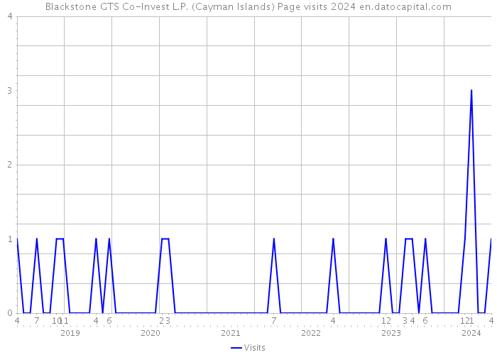 Blackstone GTS Co-Invest L.P. (Cayman Islands) Page visits 2024 