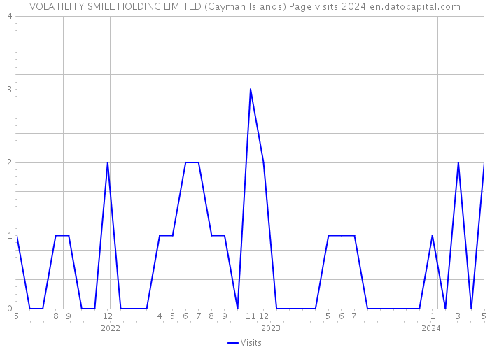 VOLATILITY SMILE HOLDING LIMITED (Cayman Islands) Page visits 2024 
