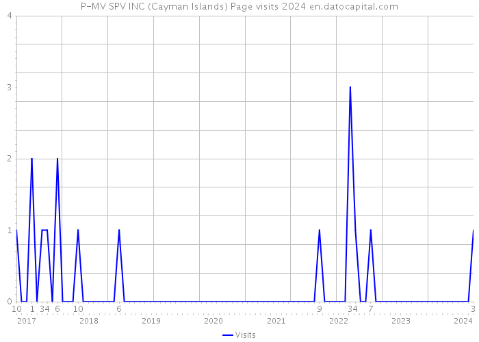 P-MV SPV INC (Cayman Islands) Page visits 2024 