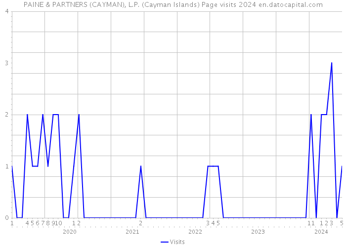 PAINE & PARTNERS (CAYMAN), L.P. (Cayman Islands) Page visits 2024 