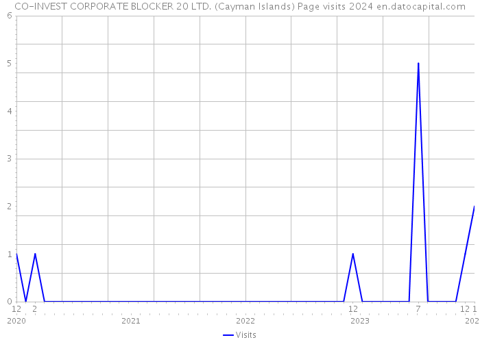 CO-INVEST CORPORATE BLOCKER 20 LTD. (Cayman Islands) Page visits 2024 