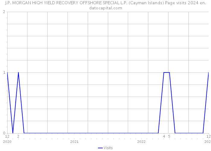 J.P. MORGAN HIGH YIELD RECOVERY OFFSHORE SPECIAL L.P. (Cayman Islands) Page visits 2024 