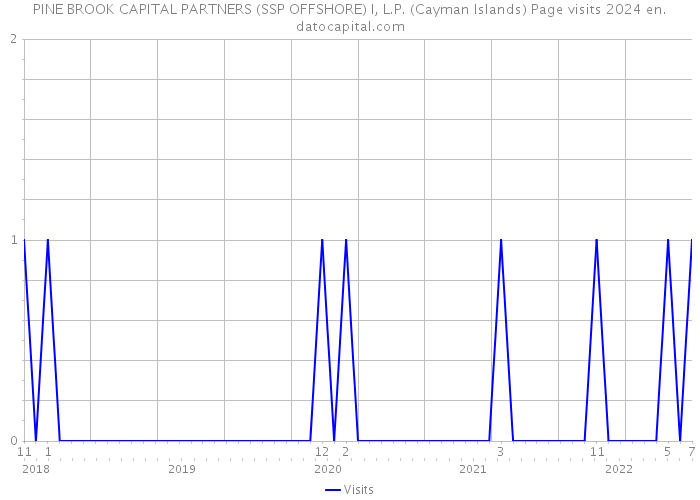 PINE BROOK CAPITAL PARTNERS (SSP OFFSHORE) I, L.P. (Cayman Islands) Page visits 2024 