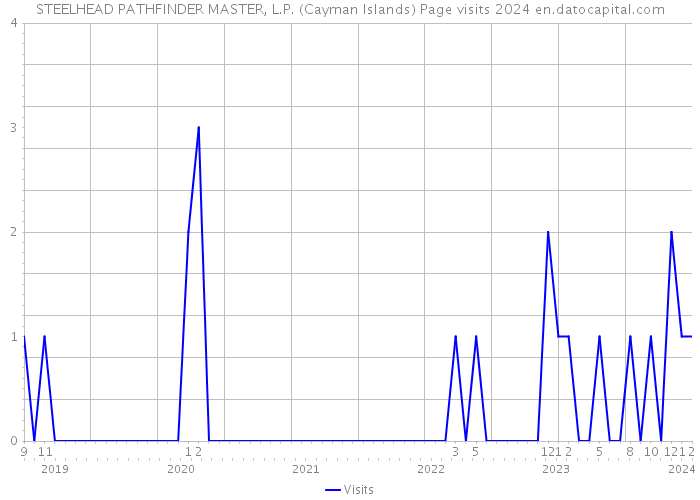 STEELHEAD PATHFINDER MASTER, L.P. (Cayman Islands) Page visits 2024 