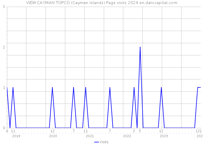 VIEW CAYMAN TOPCO (Cayman Islands) Page visits 2024 