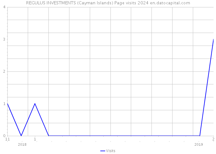 REGULUS INVESTMENTS (Cayman Islands) Page visits 2024 