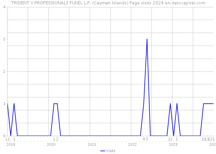 TRIDENT V PROFESSIONALS FUND, L.P. (Cayman Islands) Page visits 2024 