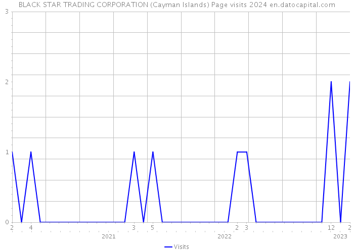 BLACK STAR TRADING CORPORATION (Cayman Islands) Page visits 2024 