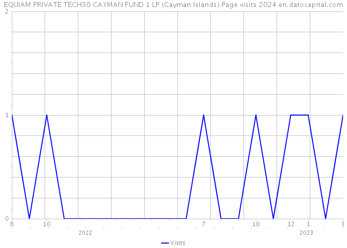 EQUIAM PRIVATE TECH30 CAYMAN FUND 1 LP (Cayman Islands) Page visits 2024 