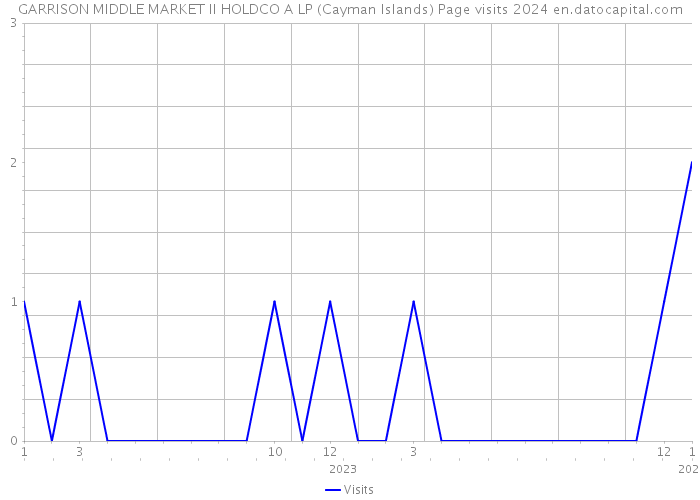 GARRISON MIDDLE MARKET II HOLDCO A LP (Cayman Islands) Page visits 2024 