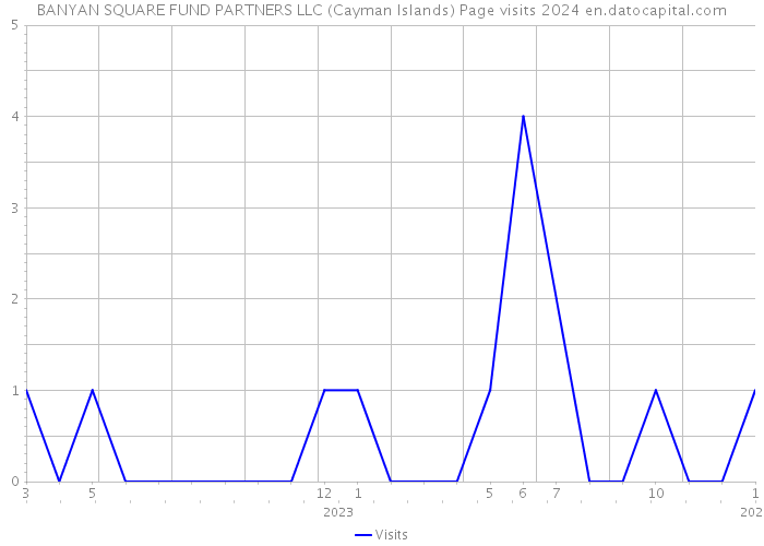 BANYAN SQUARE FUND PARTNERS LLC (Cayman Islands) Page visits 2024 