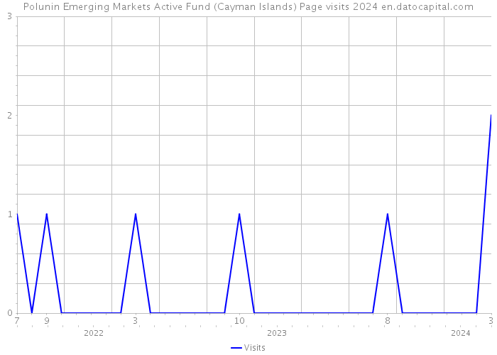 Polunin Emerging Markets Active Fund (Cayman Islands) Page visits 2024 