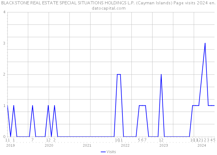 BLACKSTONE REAL ESTATE SPECIAL SITUATIONS HOLDINGS L.P. (Cayman Islands) Page visits 2024 