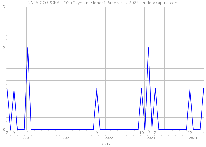 NAPA CORPORATION (Cayman Islands) Page visits 2024 