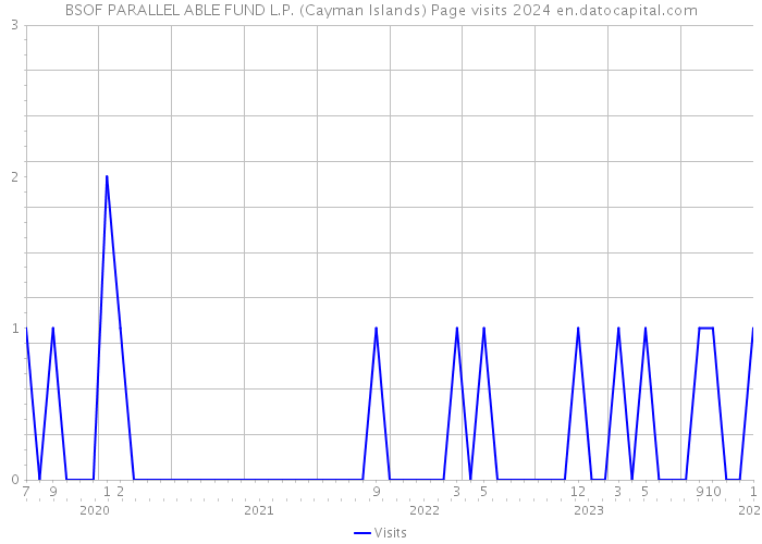 BSOF PARALLEL ABLE FUND L.P. (Cayman Islands) Page visits 2024 