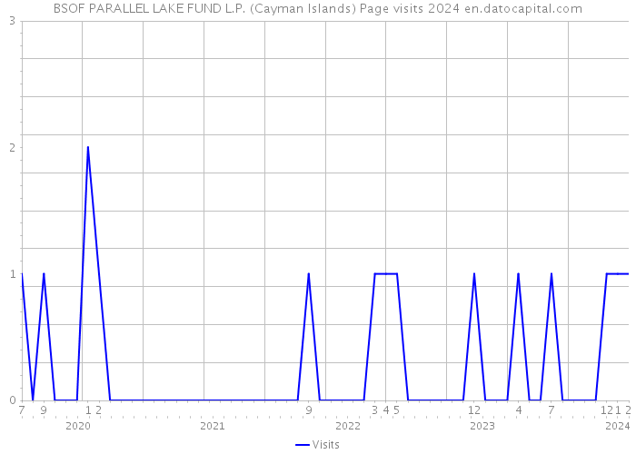 BSOF PARALLEL LAKE FUND L.P. (Cayman Islands) Page visits 2024 