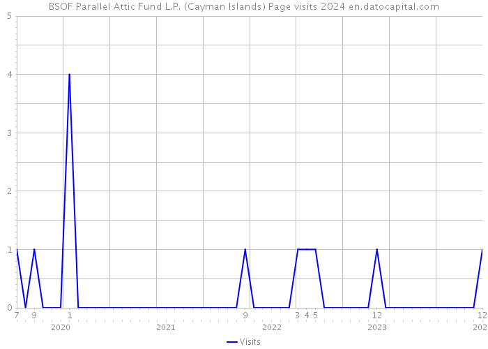BSOF Parallel Attic Fund L.P. (Cayman Islands) Page visits 2024 