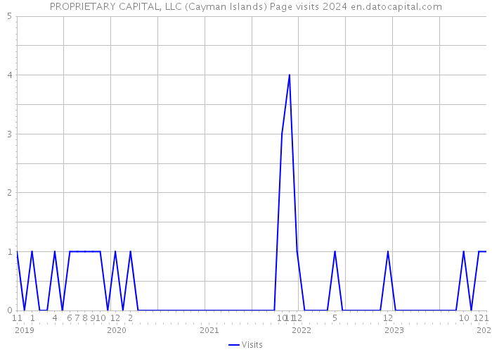 PROPRIETARY CAPITAL, LLC (Cayman Islands) Page visits 2024 
