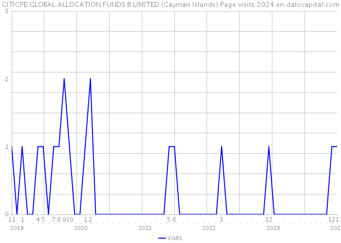CITICPE GLOBAL ALLOCATION FUNDS B LIMITED (Cayman Islands) Page visits 2024 