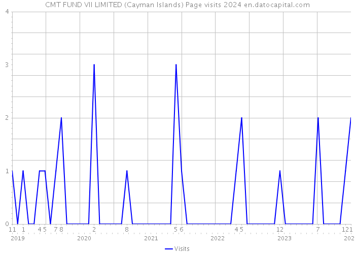 CMT FUND VII LIMITED (Cayman Islands) Page visits 2024 